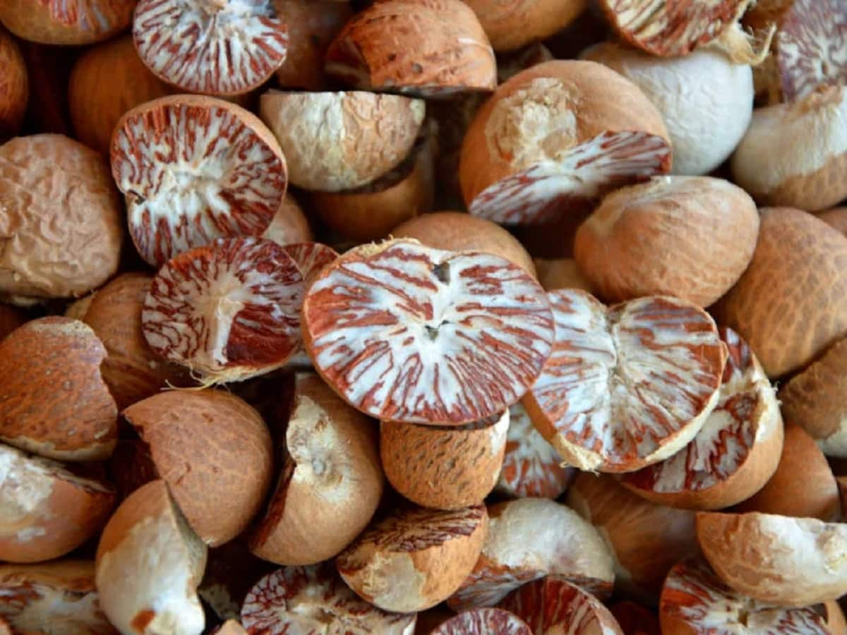 Whole dried Sri Lankan arecanut for bulk export