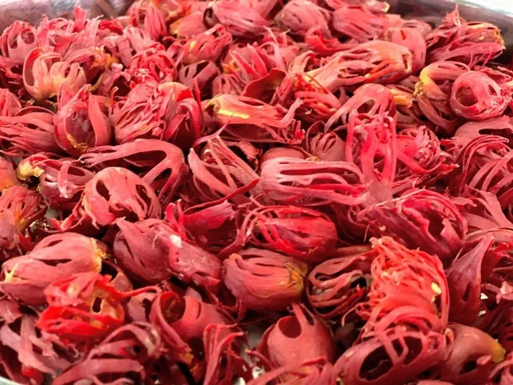 Dried red mace blades from nutmeg aril