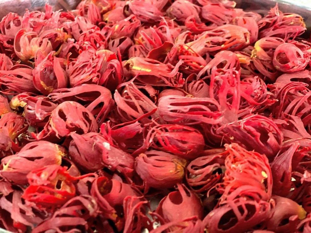 Dried red mace blades from nutmeg aril