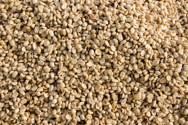Bundles of high-quality white coffee beans